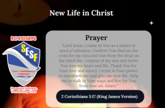 New Life in Christ