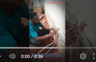 Top Electric Fence Installation Services Serving Homes & Businesses in Benin City