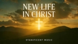 New Life In Christ