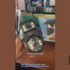Skyvision 12MP Four Lens Solar Camera (V380 App) – The Ultimate Security Camera for Nigerians